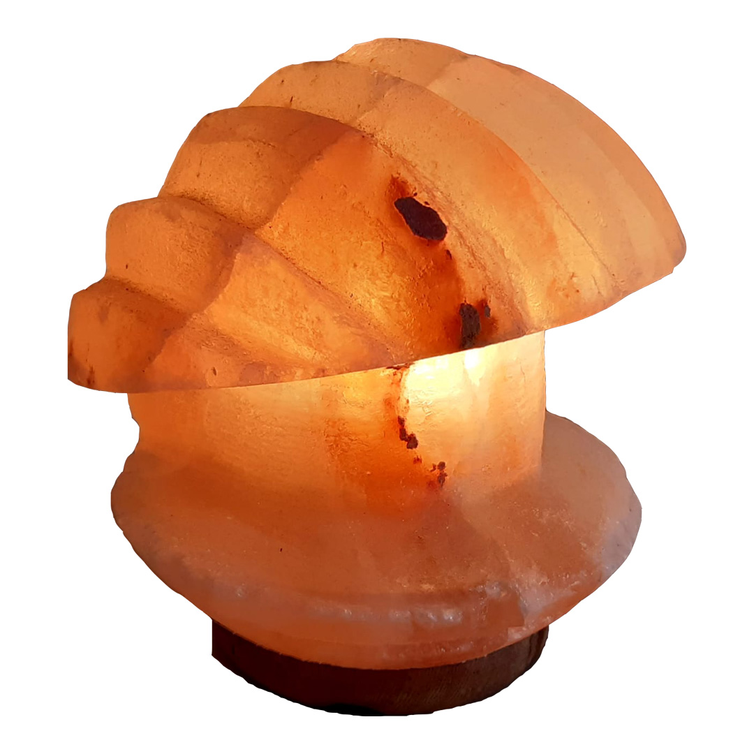 Himalaya Tuz Lambası İstiridye